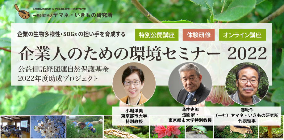 企業人のための環境セミナー 22 のお知らせ ヤマネ いきもの研究所 Dormouse Wildlife Institute