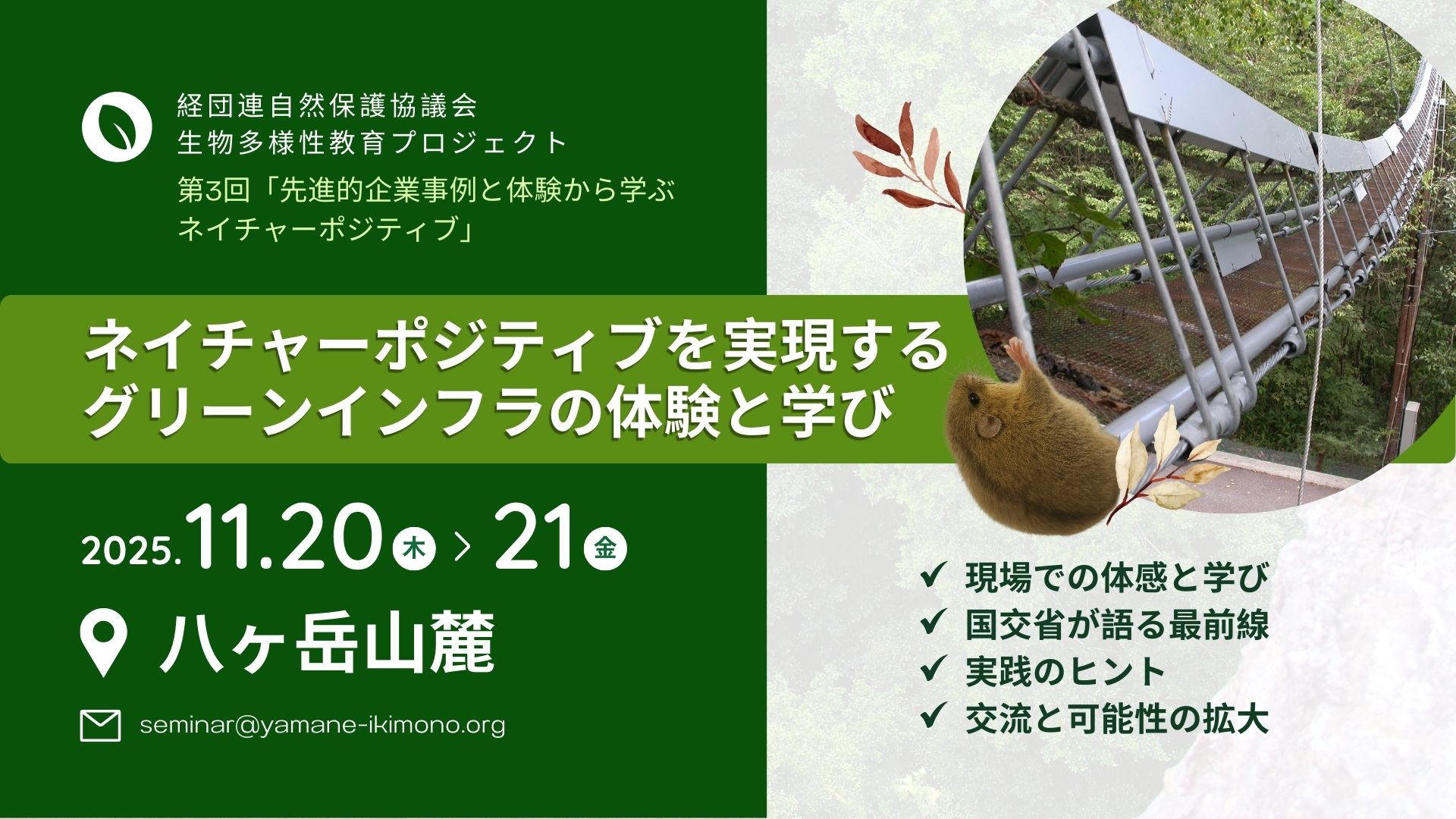 ヤマネ・いきもの研究所｜Dormouse & Wildlife Institute