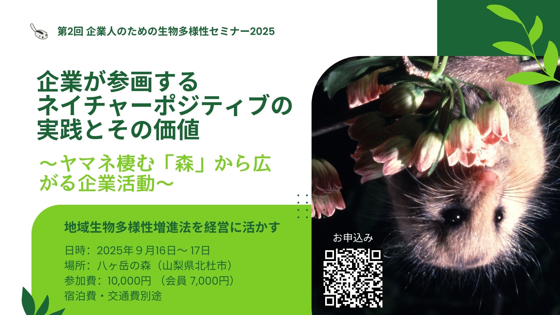 Dormouse & Wildlife Institute