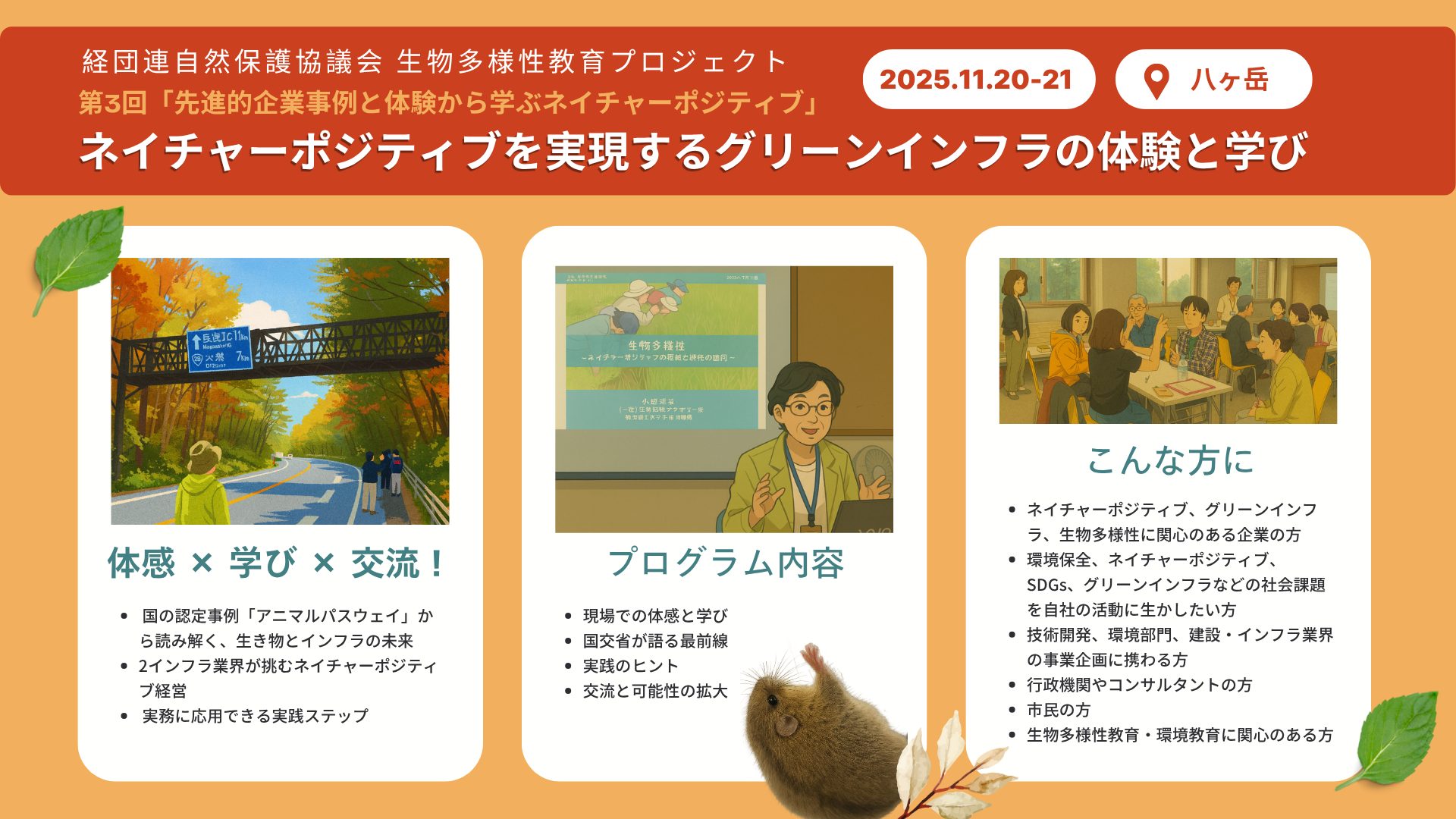 ヤマネ・いきもの研究所｜Dormouse & Wildlife Institute